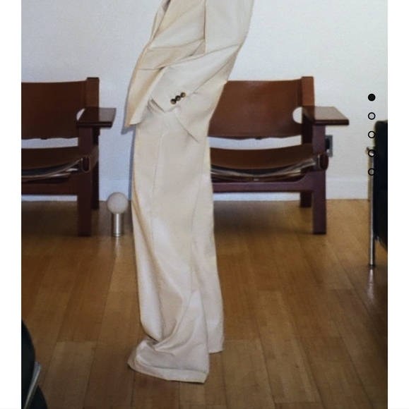 Zara Faux Leather Full Length Pants Bloggers Favorite. - Picture 10 of 13